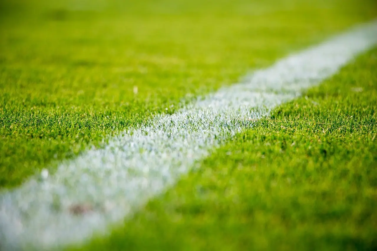 8 planter der tåler slid fra fodbold og ser godt ud i haven